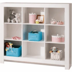 PAIDI Standregal Fiona Breit